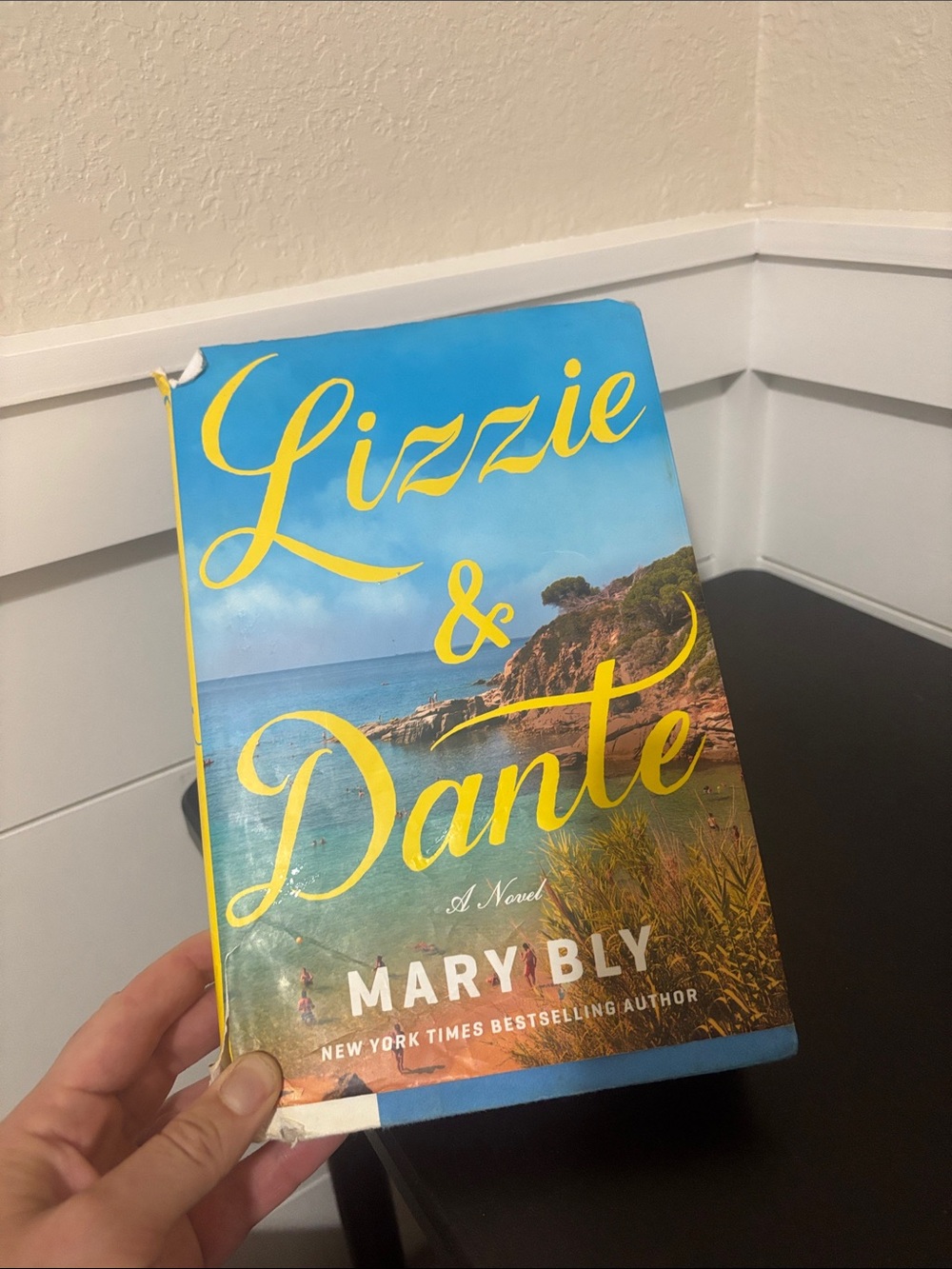 Lizzie & Dante by Mary Bly - Beach Scene Hardcover (Blue & Yellow)